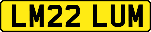 LM22LUM