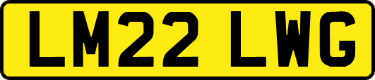 LM22LWG