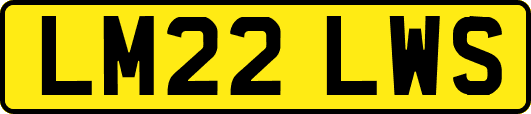 LM22LWS