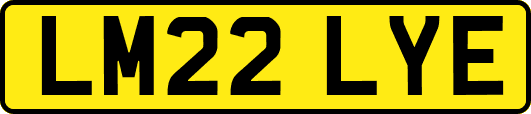 LM22LYE