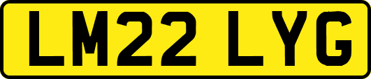 LM22LYG