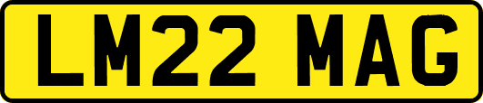 LM22MAG
