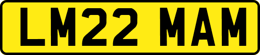 LM22MAM