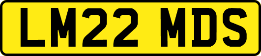 LM22MDS
