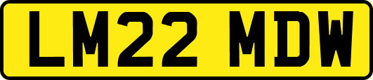 LM22MDW