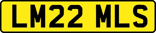 LM22MLS