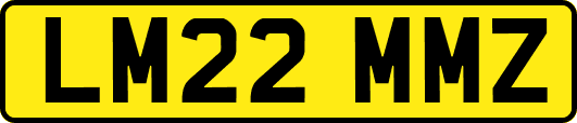 LM22MMZ