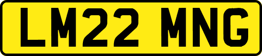 LM22MNG