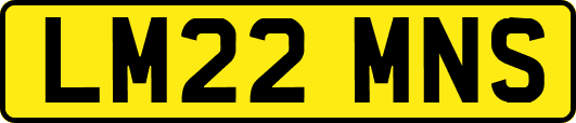 LM22MNS