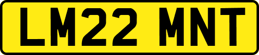 LM22MNT