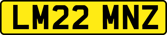 LM22MNZ