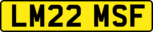 LM22MSF