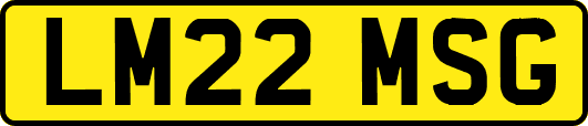 LM22MSG