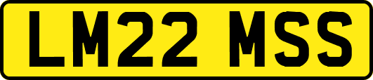 LM22MSS