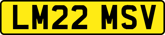 LM22MSV