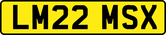 LM22MSX
