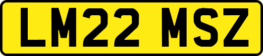 LM22MSZ