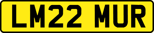 LM22MUR