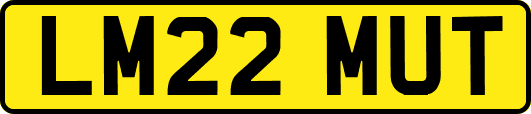 LM22MUT