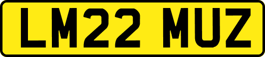 LM22MUZ