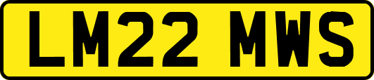 LM22MWS
