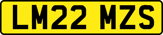 LM22MZS