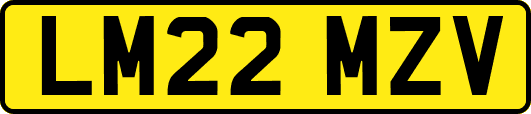 LM22MZV