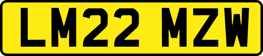 LM22MZW