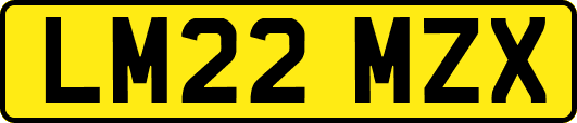 LM22MZX
