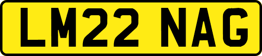LM22NAG