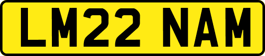 LM22NAM