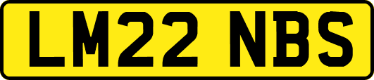 LM22NBS