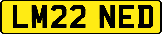 LM22NED