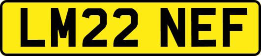 LM22NEF