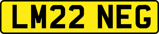 LM22NEG