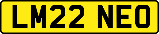 LM22NEO