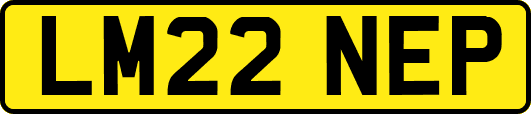 LM22NEP