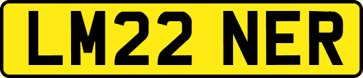 LM22NER