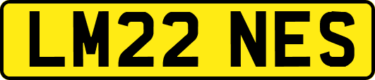 LM22NES