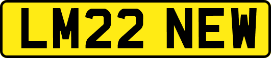 LM22NEW