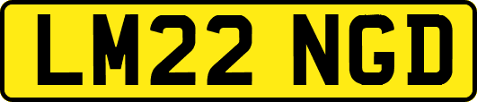 LM22NGD