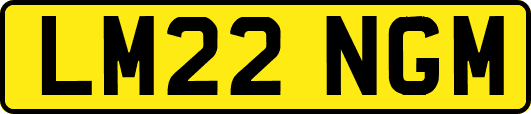 LM22NGM