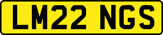 LM22NGS