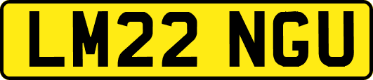 LM22NGU