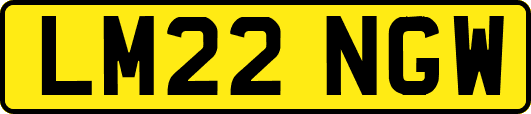 LM22NGW