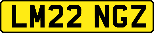LM22NGZ