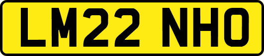 LM22NHO
