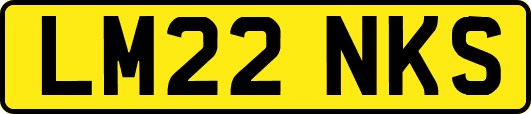 LM22NKS