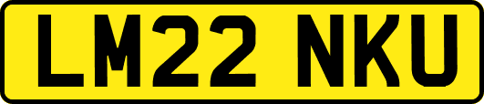 LM22NKU