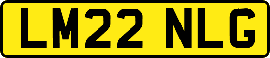 LM22NLG